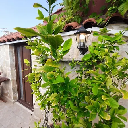 Hotel apartamentowy Flesvos Pefkochori